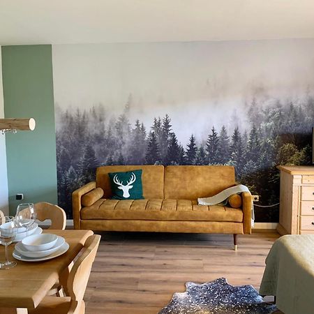 Lindners Hideaways - Bergnest Lodge - Bergblick Fewo 6 Pers Balkon Garten Hund Ski Unterkunft Luftkurort Oberreute Naehe Buchenegger Wasserfaelle Eistobel Bodensee Dış mekan fotoğraf