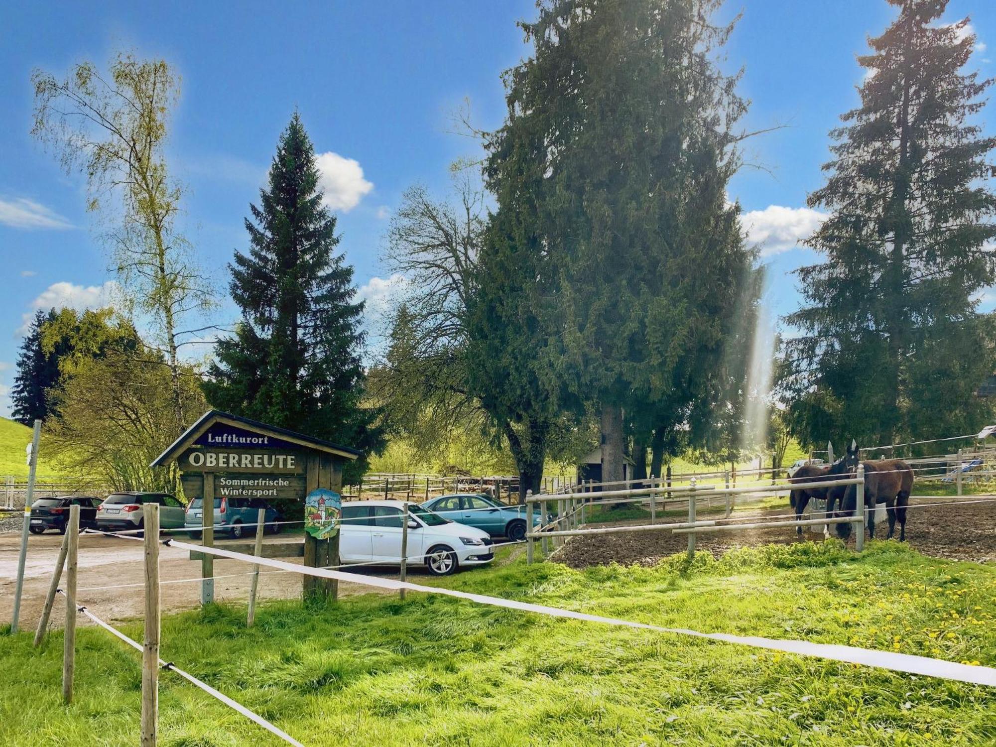 Lindners Hideaways - Bergnest Lodge - Bergblick Fewo 6 Pers Balkon Garten Hund Ski Unterkunft Luftkurort Oberreute Naehe Buchenegger Wasserfaelle Eistobel Bodensee Dış mekan fotoğraf